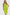 Wedding Guest Dresses - CELIA MODA