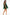 Evening dress awama - CELIA MODA