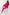 Set Italy Moda - CELIA MODA