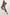 Set Italy Moda - CELIA MODA