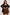 Short skirt Italy Moda - CELIA MODA