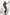 Daydress IVON - CELIA MODA