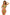 Swimsuit two piece Marko - CELIA MODA