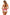 Swimsuit two piece Marko - CELIA MODA