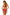 Swimsuit two piece Marko - CELIA MODA