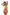 Swimsuit two piece Marko - CELIA MODA