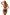 Swimsuit two piece Marko - CELIA MODA