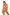 Swimsuit two piece Marko - CELIA MODA