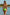 Swimsuit two piece Ewlon - CELIA MODA