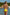 Swimsuit two piece Ewlon - CELIA MODA