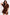 Suit Italy Moda - CELIA MODA