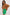 Skirt pants Factory Price - CELIA MODA