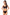  Soft model 220735 Donna 