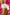 Panties Wolbar - CELIA MODA