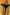 Panties Wolbar - CELIA MODA