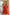 Petticoat Kalimo - CELIA MODA