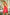  Erotic Lingerie model 63814 Kalimo 