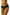 Panties Wolbar - CELIA MODA