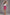Skirt Figl - CELIA MODA