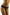 Panties Wolbar - CELIA MODA