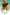 Panties Wolbar - CELIA MODA