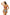 Swimsuit two piece Marko - CELIA MODA