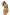 Swimsuit two piece Marko - CELIA MODA