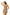 Swimsuit two piece Marko - CELIA MODA