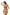 Swimsuit two piece Marko - CELIA MODA