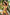 Swimsuit two piece Marko - CELIA MODA