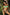 Swimsuit two piece Marko - CELIA MODA