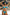 Swimsuit two piece Marko - CELIA MODA