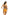 Swimsuit two piece Marko - CELIA MODA