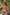 Swimsuit two piece Marko - CELIA MODA