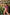 Swimsuit two piece Marko - CELIA MODA