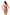 Swimsuit two piece Marko - CELIA MODA