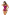 Swimsuit one piece Marko - CELIA MODA