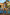 Swimsuit two piece Marko - CELIA MODA