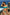 Swimsuit two piece Marko - CELIA MODA