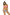 Swimsuit two piece Marko - CELIA MODA