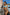 Swimsuit two piece Marko - CELIA MODA