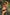Swimsuit two piece Marko - CELIA MODA