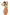 Swimsuit two piece Marko - CELIA MODA