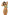 Swimsuit two piece Marko - CELIA MODA