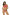 Swimsuit two piece Marko - CELIA MODA