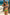 Swimsuit two piece Marko - CELIA MODA