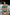 Swimsuit two piece Marko - CELIA MODA