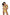 Swimsuit two piece Marko - CELIA MODA