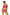 Swimsuit two piece Marko - CELIA MODA