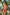 Swimsuit two piece Marko - CELIA MODA